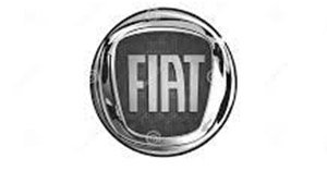 we specialize in auto body repair on fiat